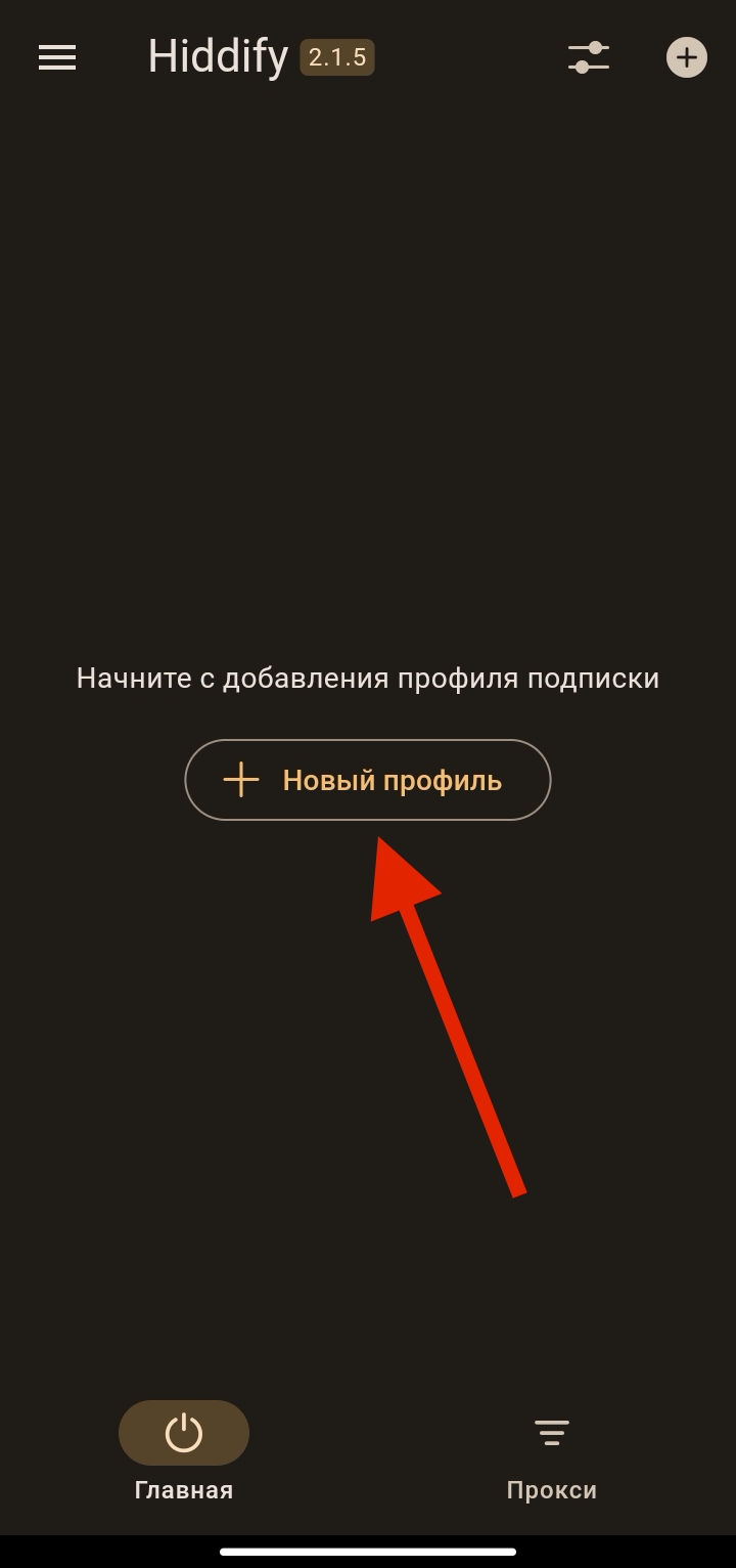 Hiddify Step 4